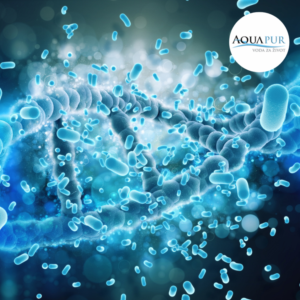 bakterije u vodi
